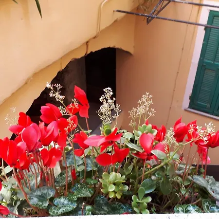 Apartman Ca Amabile Badalucco