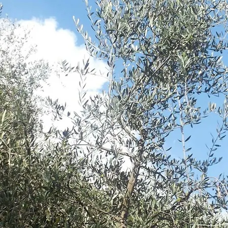 Ca Amabile Apartman